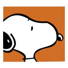 Fresh-Orange-Snoopy